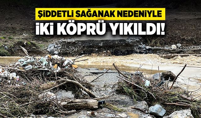 Düzce'de köprüler yıkıldı, heyelanlar meydana geldi