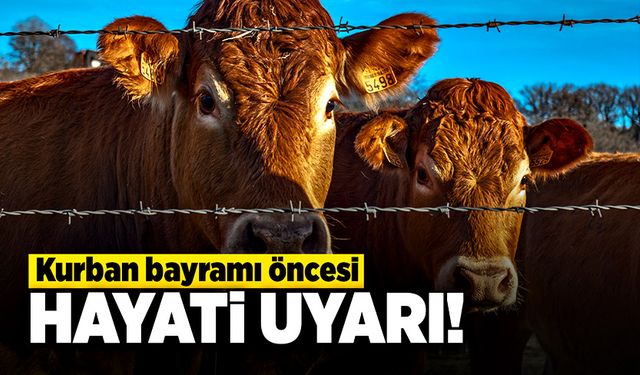 Kurban bayramı öncesi vatandaşlara önemli uyarılar!