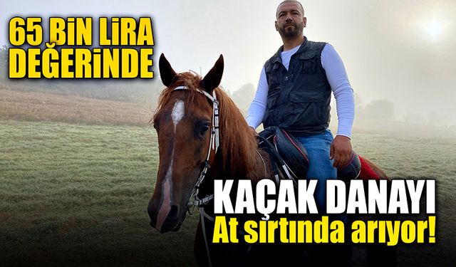 Kaçan kurbanlık danayı ata binerek aradı!