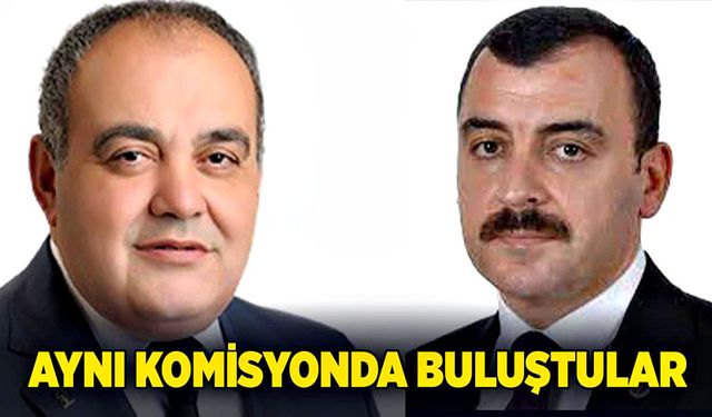 Aynı komisyonda buluştular