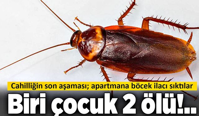 Apartmana böcek ilacı sıktılar: Biri çocuk 2 ölü!..