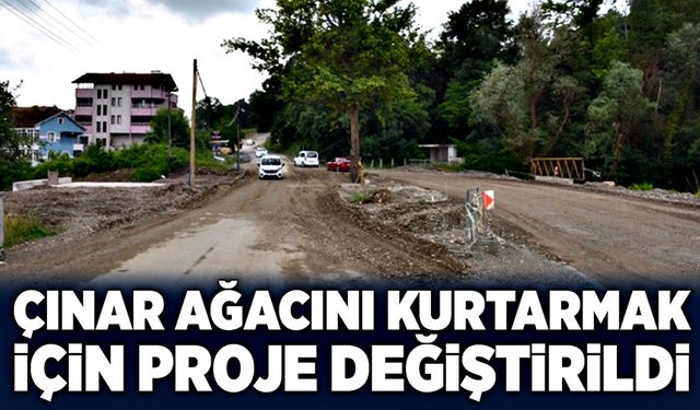 Çınar ağacını kurtarmak için proje değiştirildi