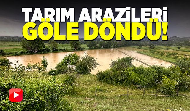 “Barajdan gelen su, köylünün tüm sebzelerini aldı”