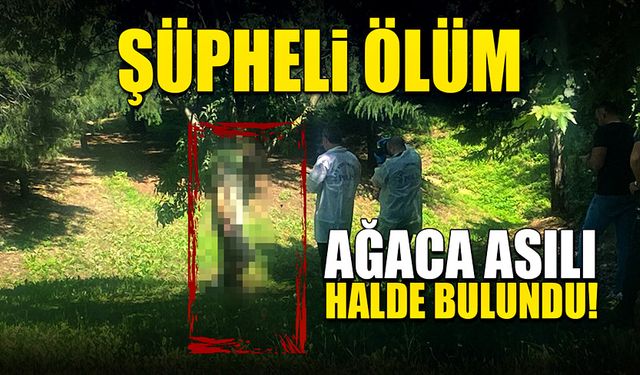 Kendi ayakkabı bağcığıyla ağaca asılı halde bulundu