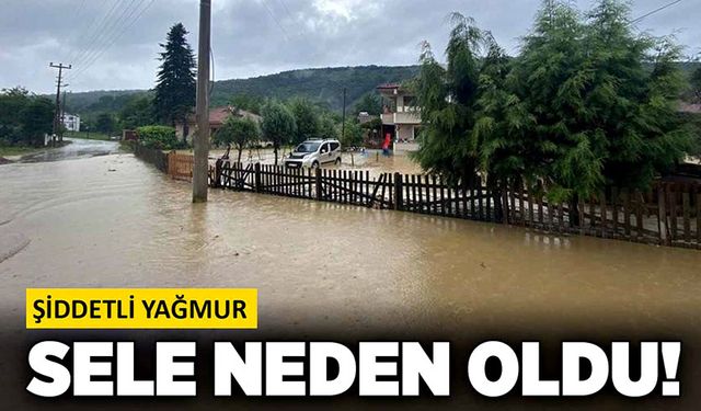 Şiddetli yağmur sele neden oldu!