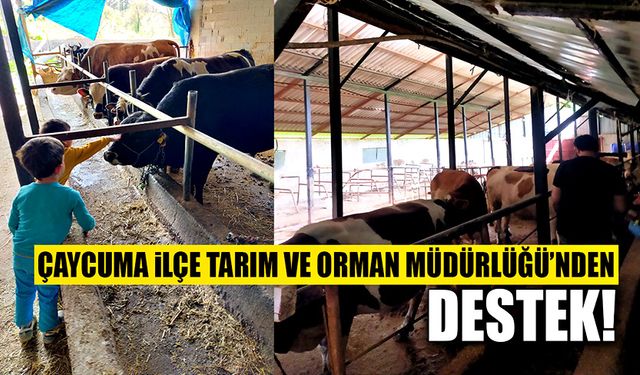 Çaycuma İlçe Tarım ve Orman Müdürlüğü’nden destek!