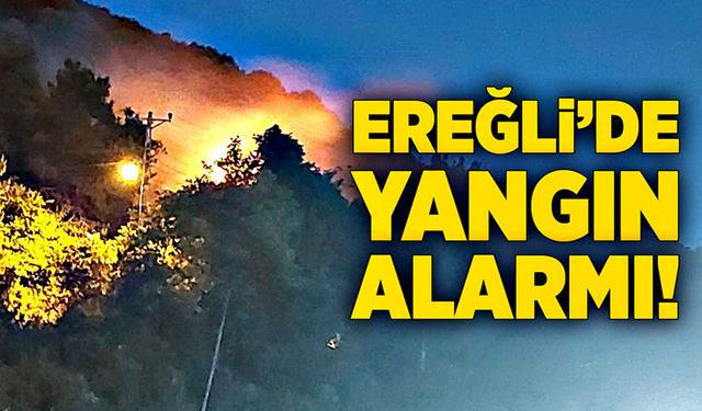 Ereğli’de yangın alarmı!