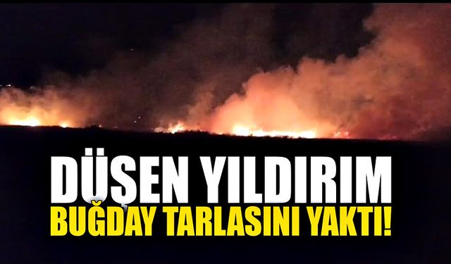 Yıldırım buğday tarlasını yakarak küle çevirdi!