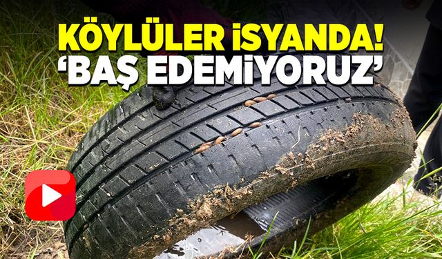 Köylüler isyanda! “Baş edemiyoruz”