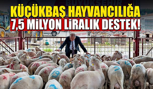 Küçükbaş hayvancılığa 7,5 milyon liralık destek!