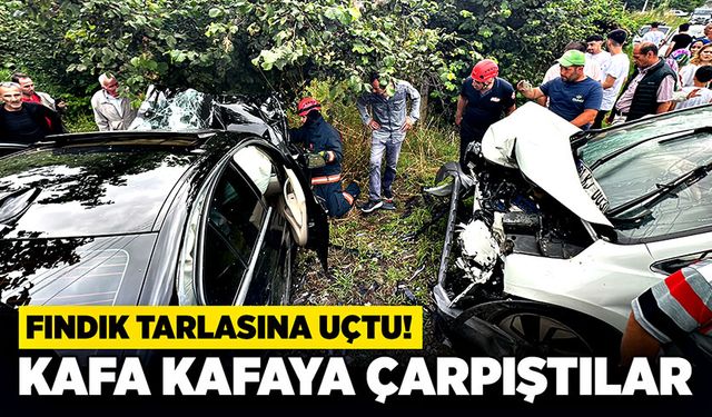 Kafa kafaya çarpıştılar Fındık tarlasına uçtu!