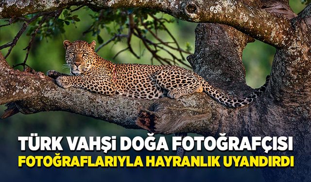 Vahşi yaşam fotoğrafçısının fotoğrafları hayranlık uyandırdı!