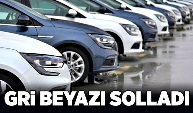 Gri beyazı solladı