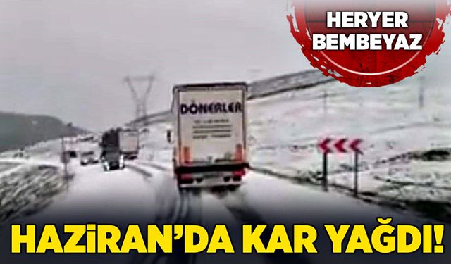 Haziran'da kar yağdı