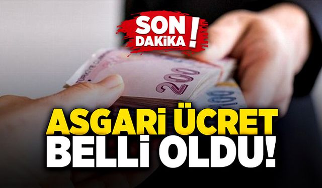 Asgari ücret belli oldu!