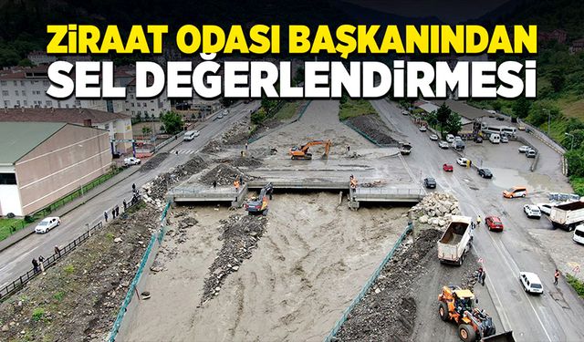 Ziraat Odası Başkanından sel felaketi değerlendirmesi