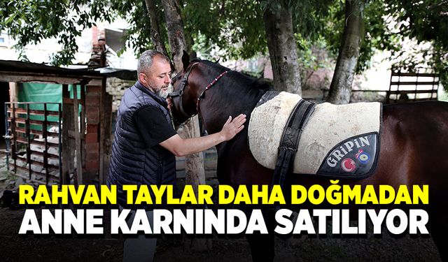 Hamile annesini satın alıp 11 ay doğum yapmasını bekledi