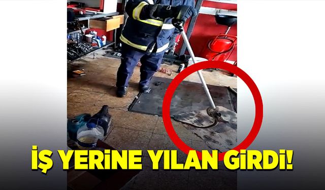 İş yerine yılan girdi! İtfaiye ekipleri seferber oldu!