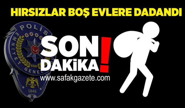 Hırsızlar boş evlere dadandı