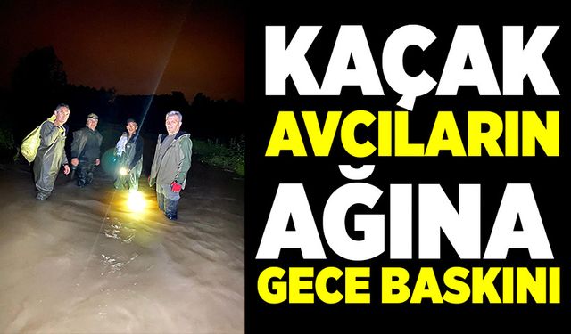 Kaçak avcıların ağına gece baskını düzenlendi