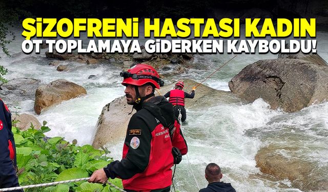 Şizofreni hastası kadın ot toplamaya giderken kayboldu