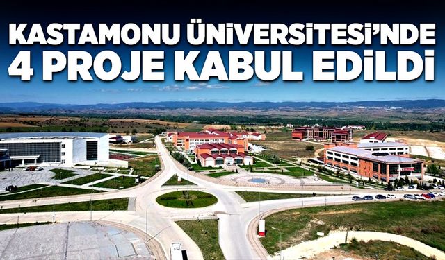 Kastamonu Üniversitesi'nde 4 proje kabul edildi