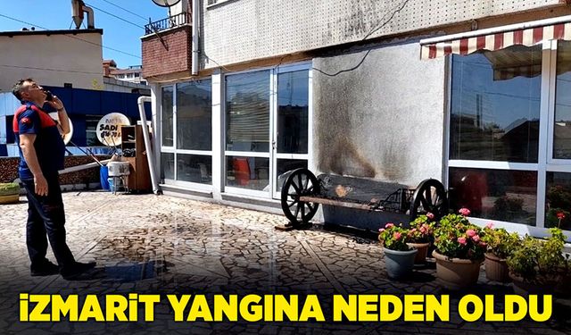 İzmarit yangına neden oldu