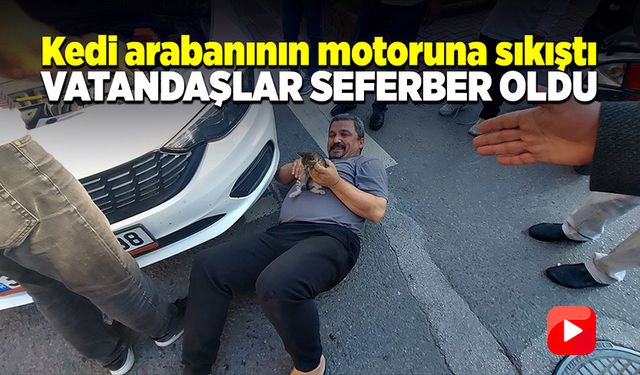 Ereğli'de otomobilin motor kısmına kedi sıkıştı!