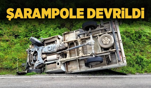 Kamyonet şarampole devrildi