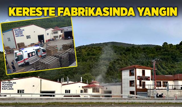 Kereste fabrikasında yangın