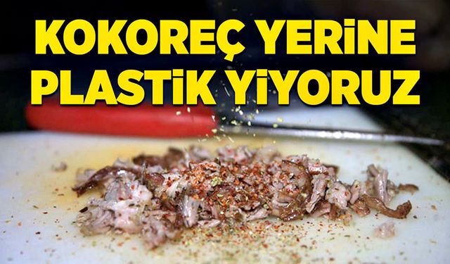 Kokoreç yerine plastik yiyoruz