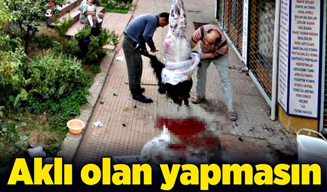 Aklı olan yapmasın