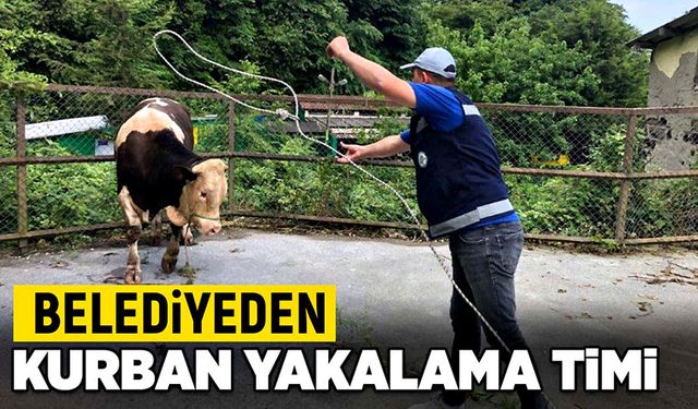 Belediyeden kurban yakalama timi!