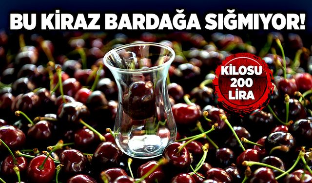 Bu kiraz bardağa sığmıyor: Kilosu 200 lira