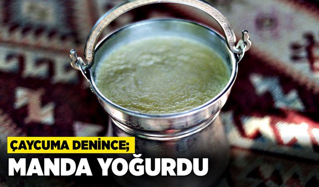 Çaycuma denince; Manda yoğurdu