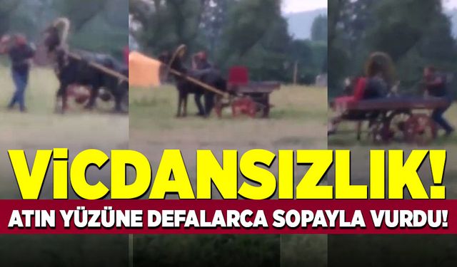 Vicdansızlık! Atın yüzüne defalarca sopa ile vurdu!