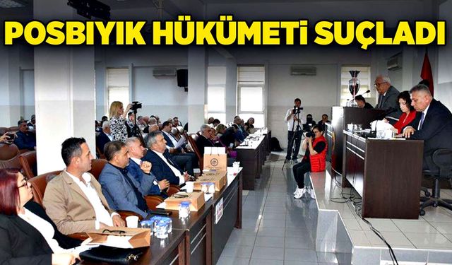 Posbıyık hükümeti suçladı