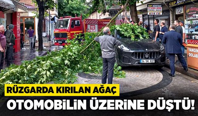 Rüzgarda kırılan ağaç, otomobilin üzerine düştü!