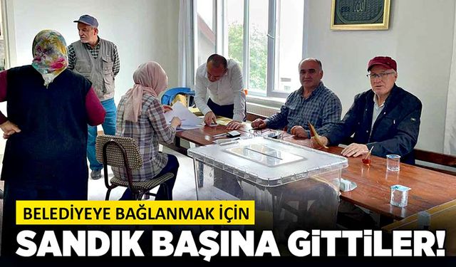 Sandık başına gittiler!