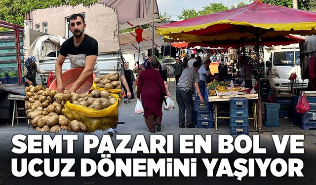 Semt pazarı en bol ve ucuz dönemini yaşıyor