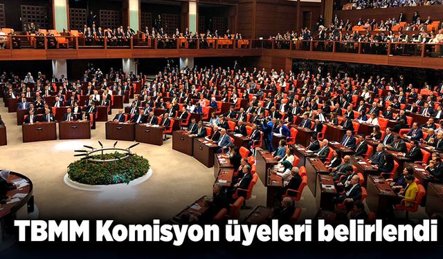 TBMM Komisyon üyeleri belirlendi