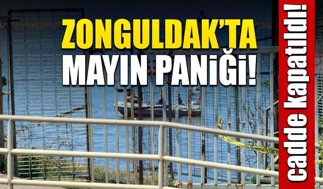 Zonguldak'ta mayın paniği cadde kapatıldı!