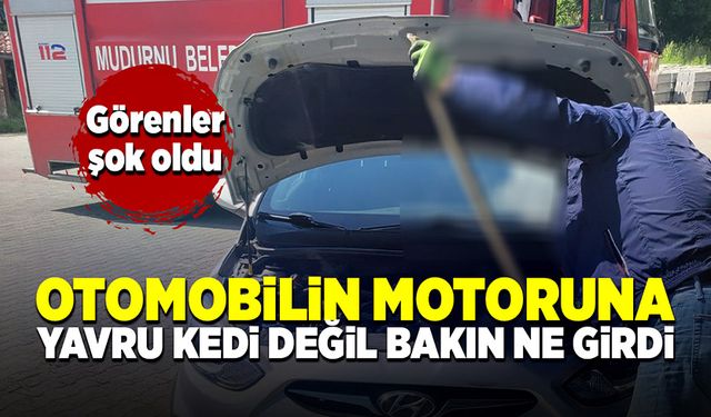 Otomobilin motoruna bu kez yavru kedi değil, bakın ne girdi!