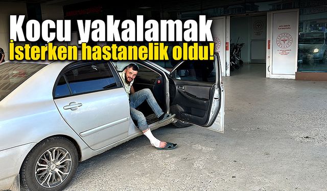 Koçu yakalamak isterken hastanelik oldu!