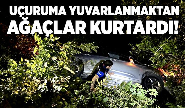 Uçurumdan ağaçlar kurtardı!