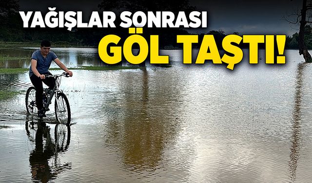 Göl taştı Kültür Parkı sular altında kaldı