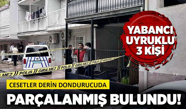 Yabancı uyruklu 3 kişi öldürülmüş bulundu!