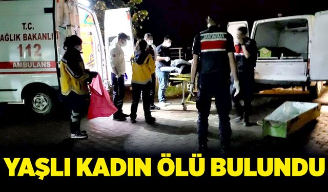 Yaşlı kadın ölü bulundu