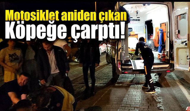 Motosiklet aniden yola çıkan köpeğe çarptı!