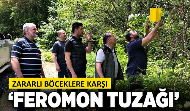 Zararlı böceklere karşı “Feromon tuzağı”